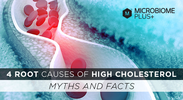 probiotics and cholesterol