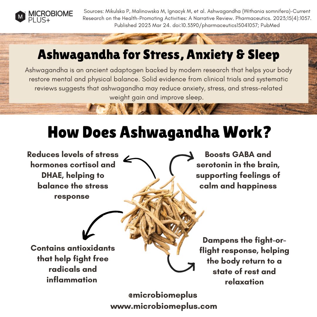 Organic Ashwagandha | Microbiome Plus+