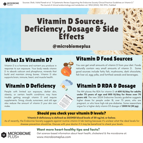 High Potency Vitamin D Supplement (2,000 IU) - Immune & Bone Support | Microbiome Plus+