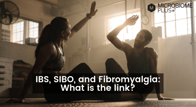 IBS, SIBO, AND FIBROMYALGIA: WHAT IS THE LINK?