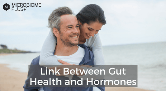 Link Between Gut Health and Hormones