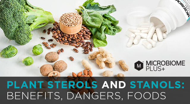Plant Sterols and Stanols Guide | Microbiome Plus+