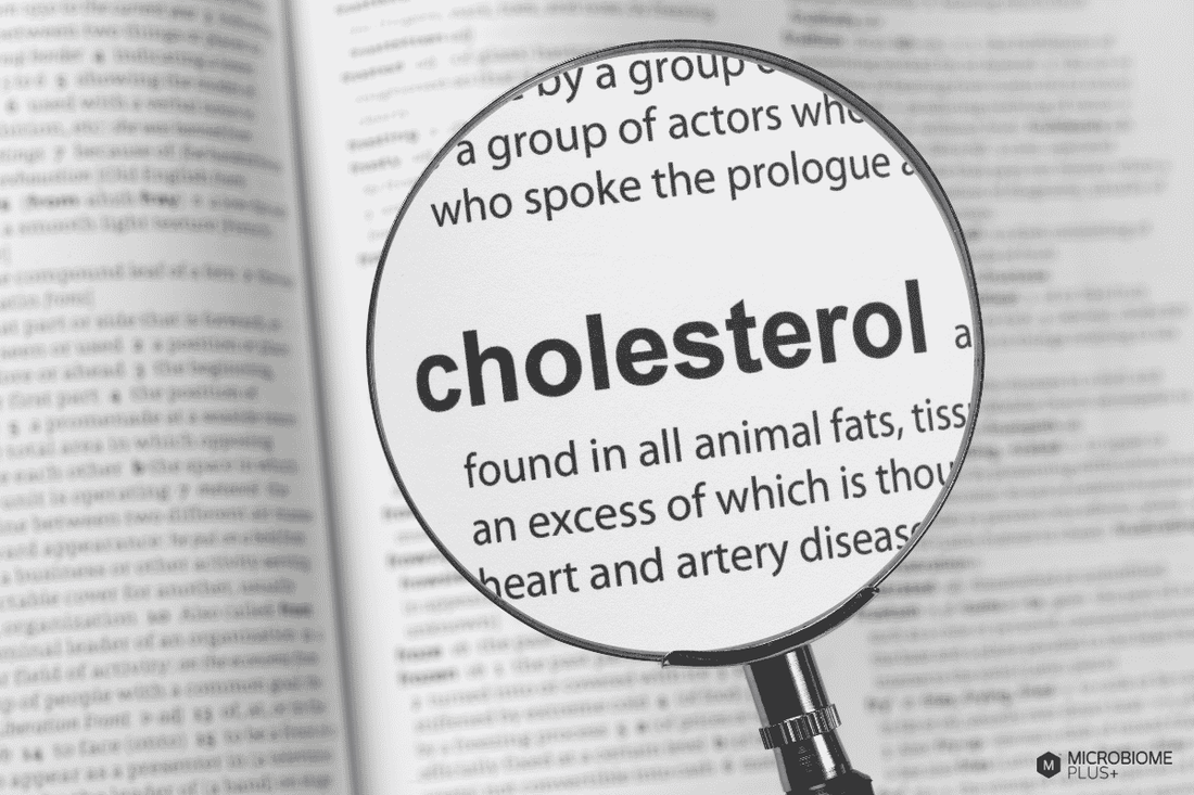 Zoom in on the cholesterol definition and effects in a book