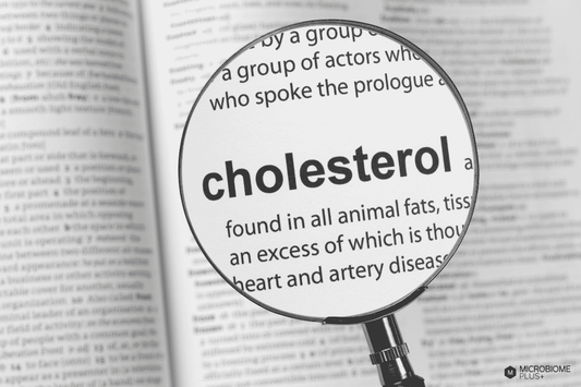 Zoom in on the cholesterol definition and effects in a book