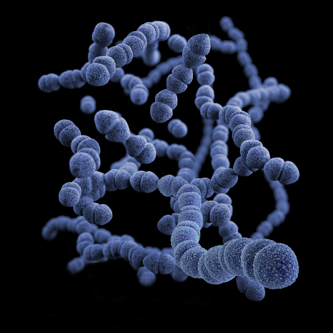 Health Benefits of Probiotics Backed by Science