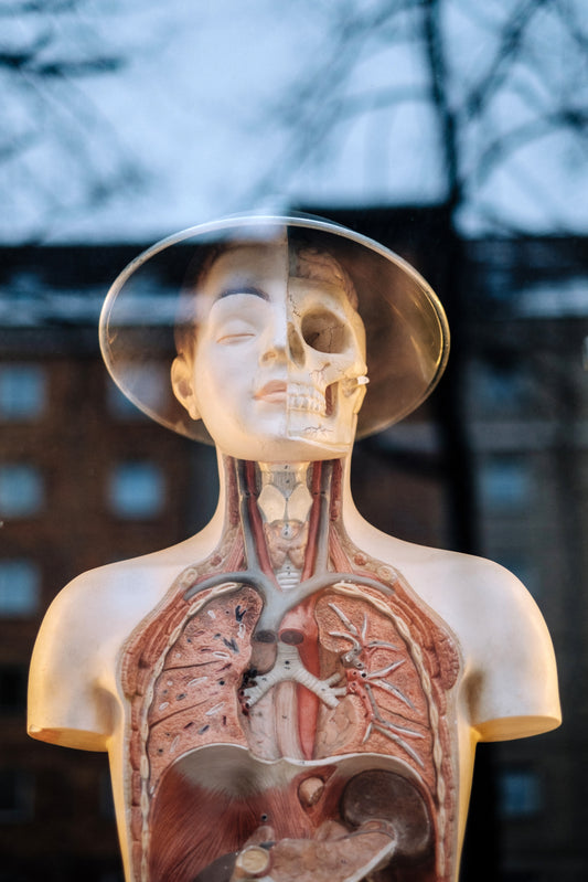 The Importance of Microbiome Genetics