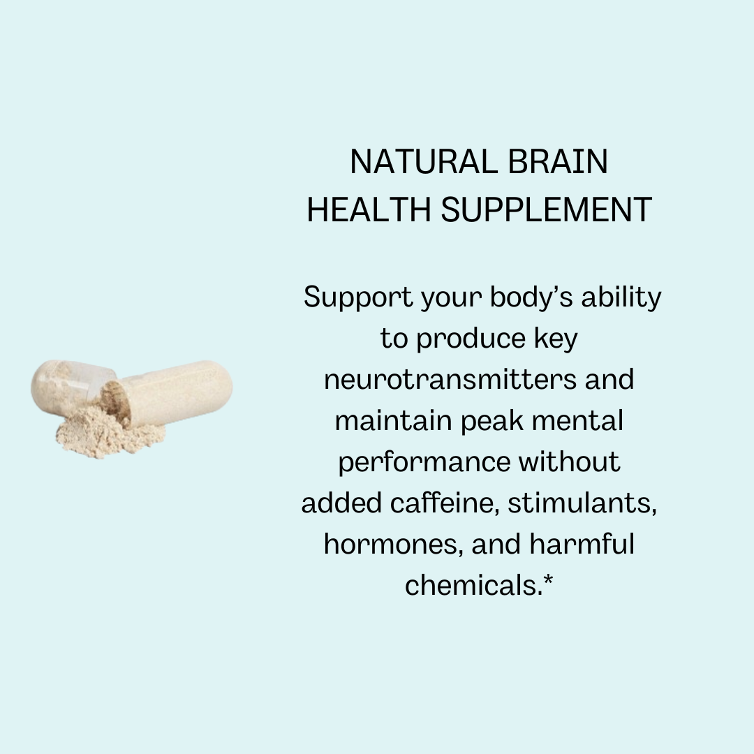 Brain & Focus Nootropic Formula | Microbiome Plus+