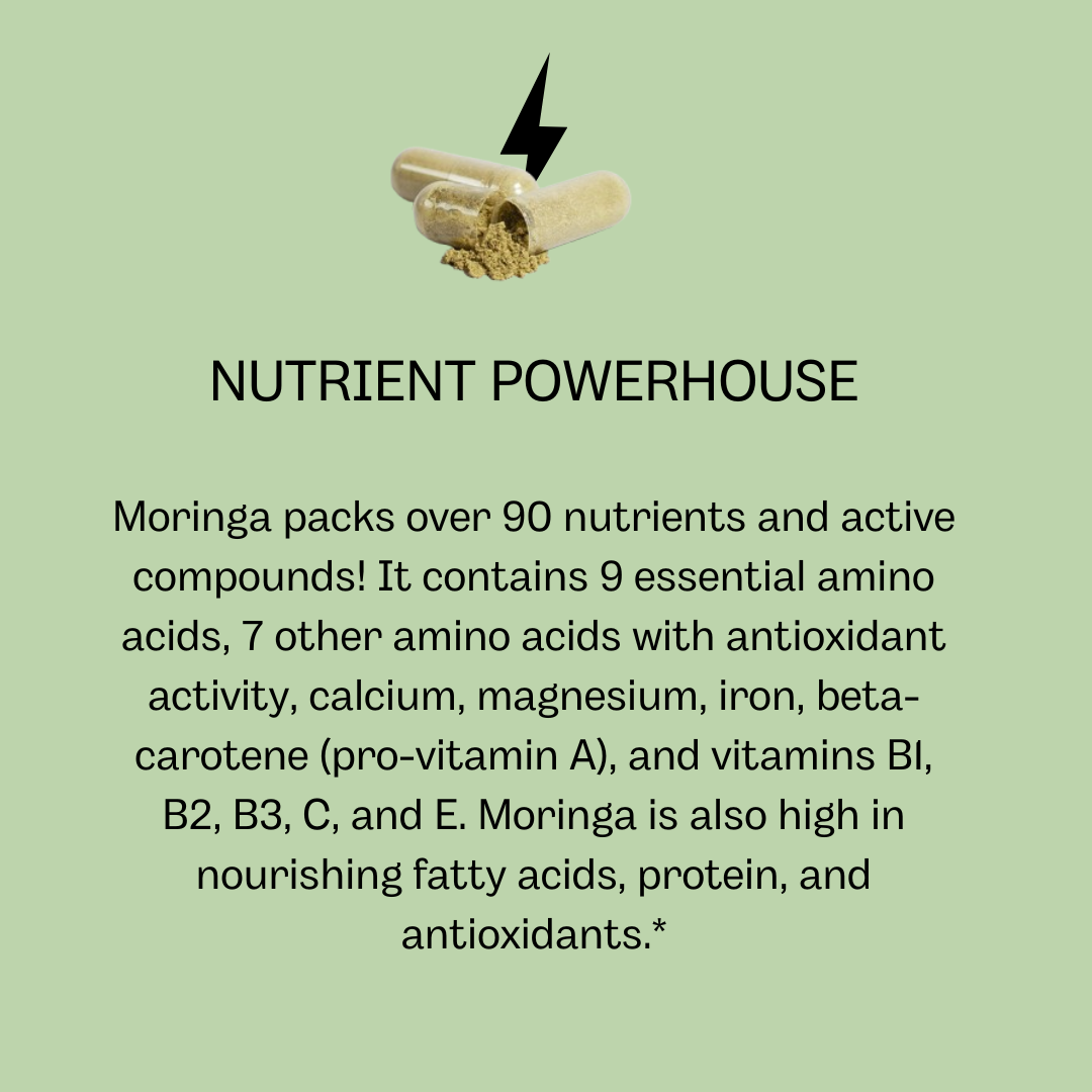 Pure Moringa | Microbiome Plus+